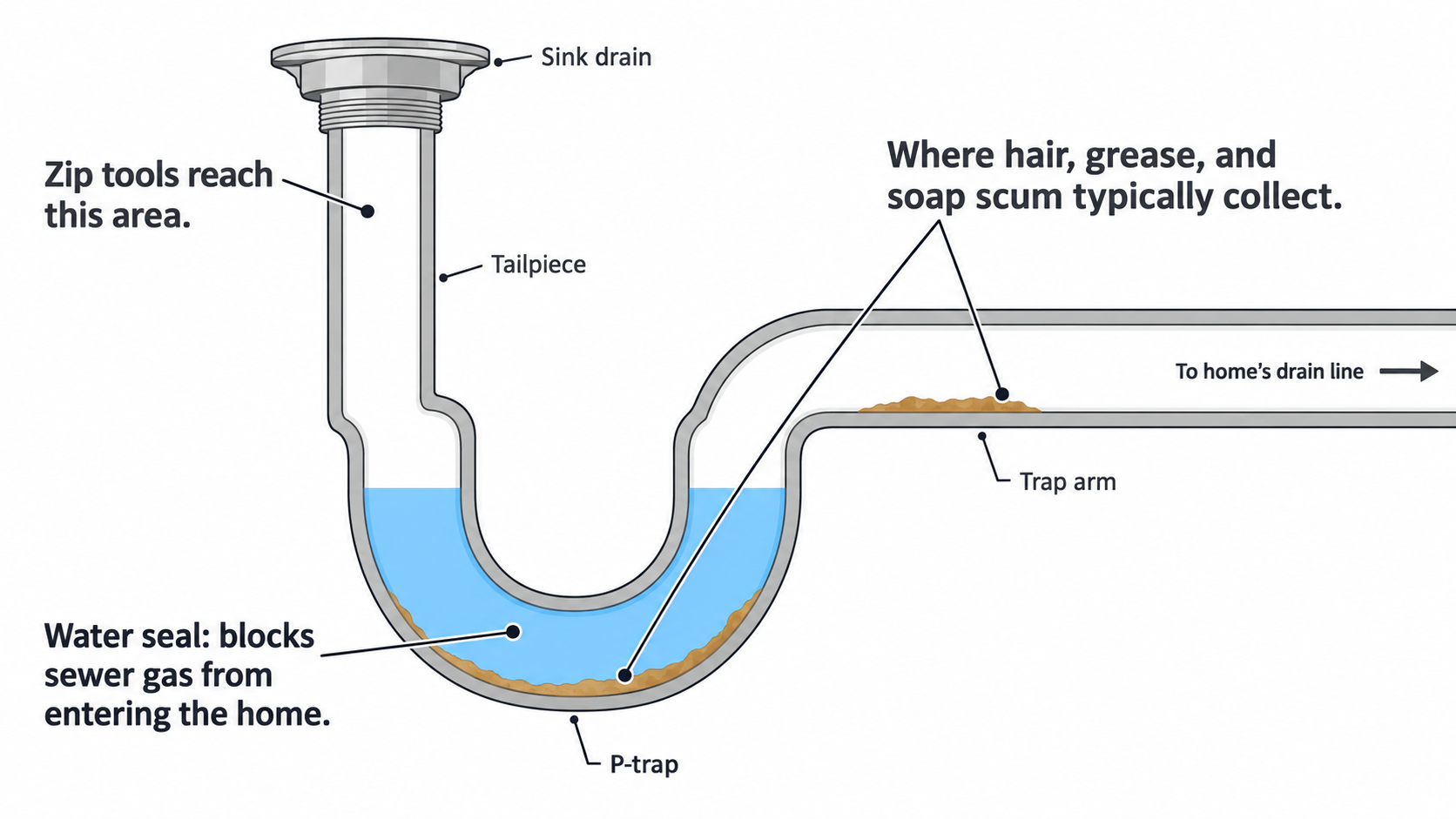 Cross-section diagram of a sink P-trap showing the water seal and where hair and grease buildup typically collects in the curved trap and trap arm
